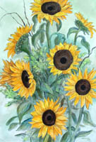 Heather's Sunflower